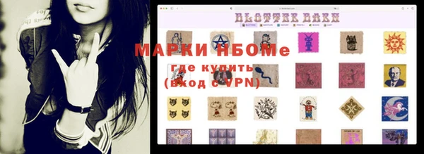 индика Нязепетровск