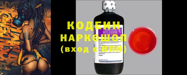 индика Нязепетровск