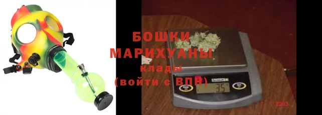 индика Нязепетровск