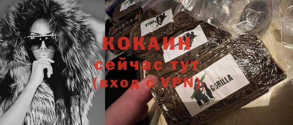 индика Нязепетровск