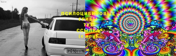 индика Нязепетровск