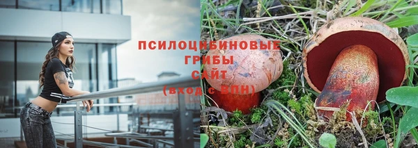 индика Нязепетровск