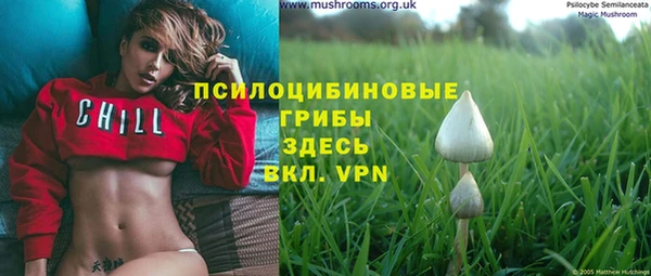 mix Няндома