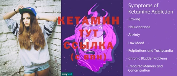 индика Нязепетровск