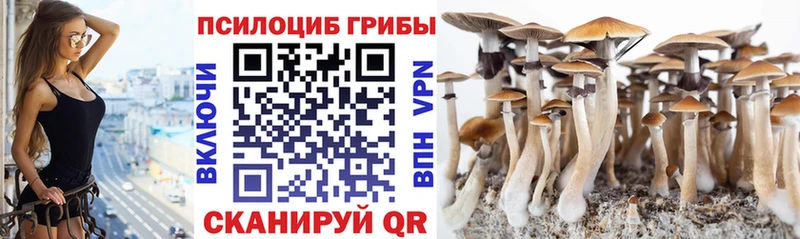 Псилоцибиновые грибы прущие грибы  Адыгейск 